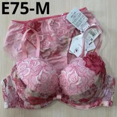 ワコール ルジェ 30G リボンブラ E75 下着 上下セット