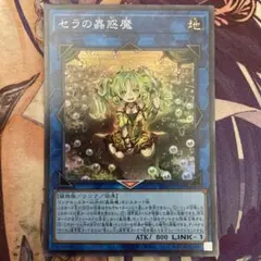遊戯王　セラの蟲惑魔