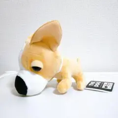 THE DOG　ぬいぐるみ 【チワワ】