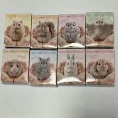 2025年最新】てのりフレンズ4の人気アイテム - メルカリ