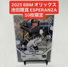 いなほ様 リクエスト 2点 まとめ商品