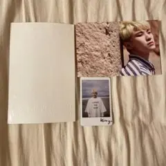 SEVENTEEN Al1 ウジ