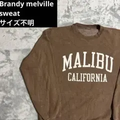 ☆*☆様 Brandy melville スウェット トレーナー 長袖 茶色 サ