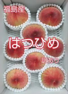 梅雨の贈りものご家庭用。たくさんの雨を受けながら、甘さを蓄えて育っ 