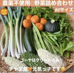 農薬不使用♡⃛野菜詰め合わせ 80サイズ