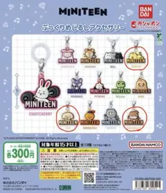 MINITEEN ガチャガチャ　めじるしアクセサリー