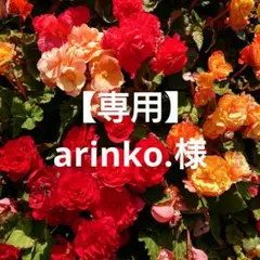【専用】スープカップ2点