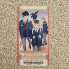 ハイキュー ビジュアルクリアチケット 黒尾 孤爪