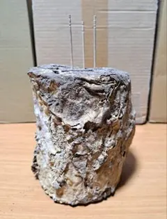 Item thumbnail for item 9e37667e-6563-4ebf-92ff-d7b328e98885