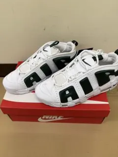 NIKE AIR MORE UPTEMPO LOW FZ3055-102のサムネイル