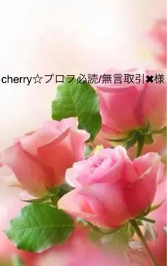 ＊cherry☆プロフ必読/無言取引✖︎様専用ぺージ＊