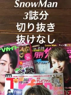 SnowMan 切り抜き　抜けなし　月刊TVガイド　ザテレビジョン　TV fan