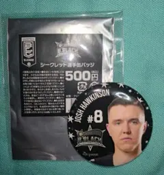 ジョシュ・ホーキンソン　缶バッジ　Bリーグオールスター　B.BLACK