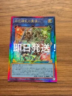 遊戯王　四花繚乱の霊使い　レリーフ　即日発送