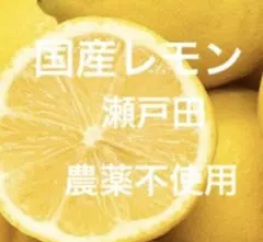 29.国産瀬戸田レモンのサムネイル