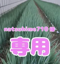 natsuhime710様✨専用