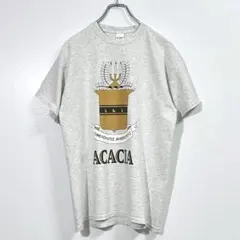 Y2Kヴィンテージ・Tシャツ アメリカ カレッジ物 アッシュグレーM