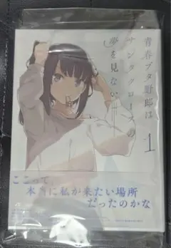 青春ブタ野郎はサンタクロースの夢を見ない 1〈完全生産限定版〉 DVD