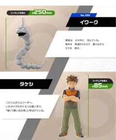 ポケモンスケールワールド カントー地方 タケシ&イワーク