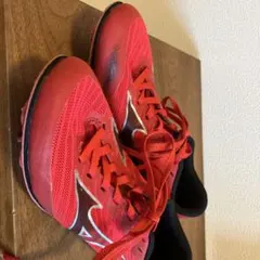 ピピピアノ様 リクエスト 2点 まとめ商品