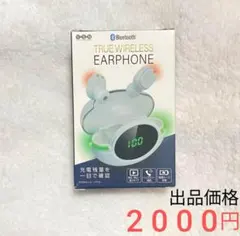 2025年最新】ワイエスエヌ液晶搭載充電ケース付イヤフォンの人気