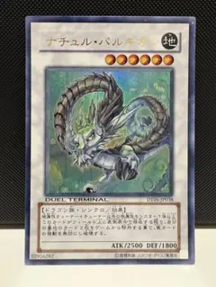 2026年最新】ナチュル・パルキオン ウルトラ DTの人気アイテム - メルカリ