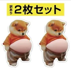 【訳あり】2枚 柴犬 ぷにぷに 立体 おなか シール ぷっくり シール帳 イヌ君