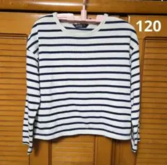 バースデイ ボーダートップス 120cm