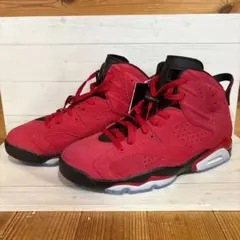 新品 Nike Air Jordan 6 Retro 
