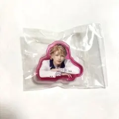 【るい様専用】エーステ クリップ 茅ヶ崎至