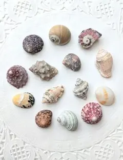 あつきちしをに様 リクエスト 5点 まとめ商品