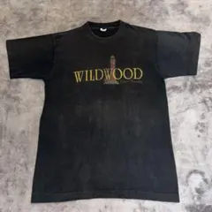 【ヴィンテージ】90s USAプリントTシャツ 灯台 スミクロ M相当