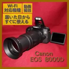 ❤️予備バッテリー&カメラバッグ付❤️Canon EOS 7D トリプルレンズ② ❤️予備バッテリー&新品バッグ付き❤️Canon EOS 7D 超絶望遠レンズ