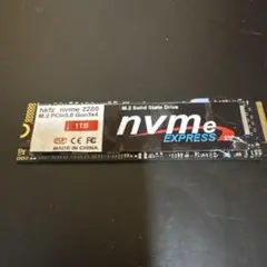 1TB NVMe SSD M.2 PCIe 3.0 x4