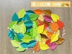 葉っぱ2種　50枚　壁面飾り　春夏秋　落ち葉