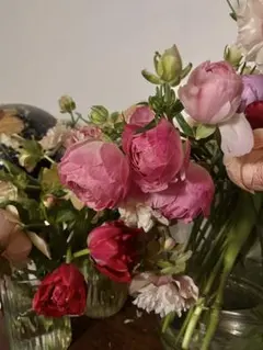 【わんわん様専用】春のお花の切花セット　ラナンキュラスなど　生花　ネコポス