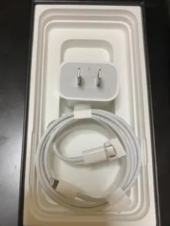 純正品 iPhone Apple ライトニングケーブル タイプC 充電器 急速