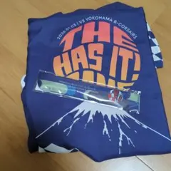 Item thumbnail for item 03aca19b-356c-44e3-bd58-db31a9bd1449