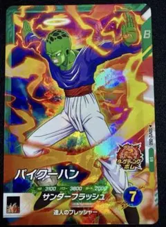 SDV12-060パイクーハン
