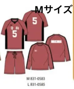 ハイキュー!! しまむら 音駒 孤爪研磨 ルームウェア 5 ユニフォーム