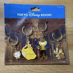 東京ディズニーリゾート キャラクターキーチェーン4個セット