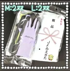 Item thumbnail for item 26054c4e-dece-4661-8aa0-b888877f2b51