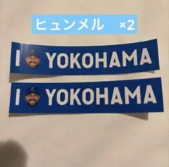 横浜DeNAベイスターズ ヒュンメル ルイーズ　ビドI☆YOKOHAMA