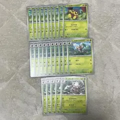 ポケモンカード タネボー コノハナ ダーテング 草タイプ まとめ売り