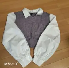 Item thumbnail for item 57d86422-5b70-4a7a-ac94-8a6390c31cea