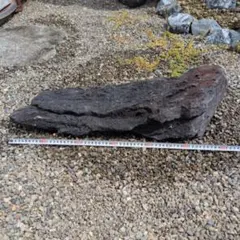 最終価格 石炭 北海道夕張 希少 置物 - メルカリ