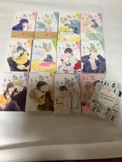 【全巻初版帯付】主人恋日記　特典付　アクスタ付 主人恋日記 11 アクリルスタンド付き特装版 (フラワーコミックス