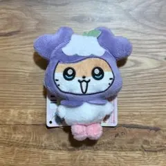 2025年最新】TWICE gigo サナの人気アイテム - メルカリ