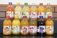 果実のささやき 12本セット フルーツリキュール 300ml×12本のサムネイル