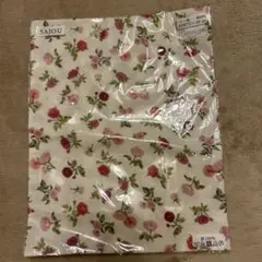 Item thumbnail for item 38bed38d-4664-463a-b5b0-2acf9014e52b